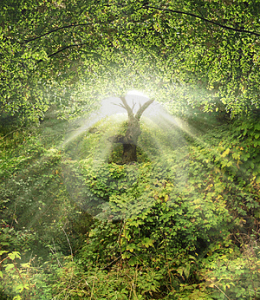 Garden-of-eden