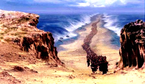 red sea